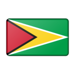 Flag Of Guyana Bevelled Favicon 