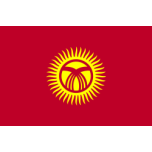 Flag Of Kyrgyzstan Favicon 