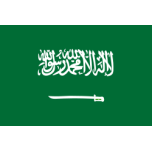 Flag Of The Kingdom Of Saudi Arabia Favicon 