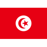 Flag Of Tunisia Favicon 