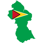 Guyana Map Flag Favicon 