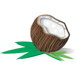  Coconut   Favicon Preview 
