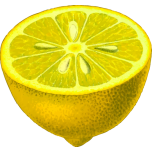 Half Lemon Favicon 