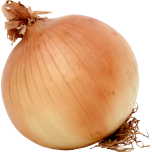 Onion Favicon 