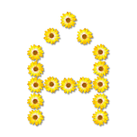 Floral Alphabet A Favicon 