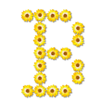 Floral Alphabet B Favicon 
