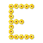 Floral Alphabet E Favicon 