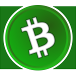 Bitcoin Cash Icon Favicon 