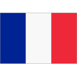 Framed Flag Of France Favicon 