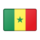  Senegal Flag Bevelled   Favicon Preview 