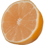 Cut Orange Favicon 