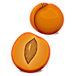 Georgia Peach Favicon 