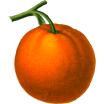 Orange Favicon 