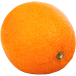  Orange Citrus   Favicon Preview 