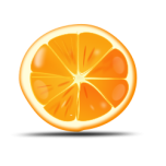  Orange Slice   Favicon Preview 