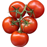 Tomatoes Favicon 