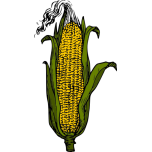 Yellow Corn Favicon 