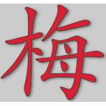 Chinese Character Favicon 