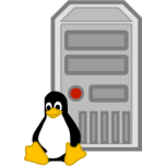Server   Linux Favicon 