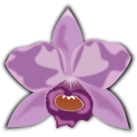  Cattleya   Favicon Preview 